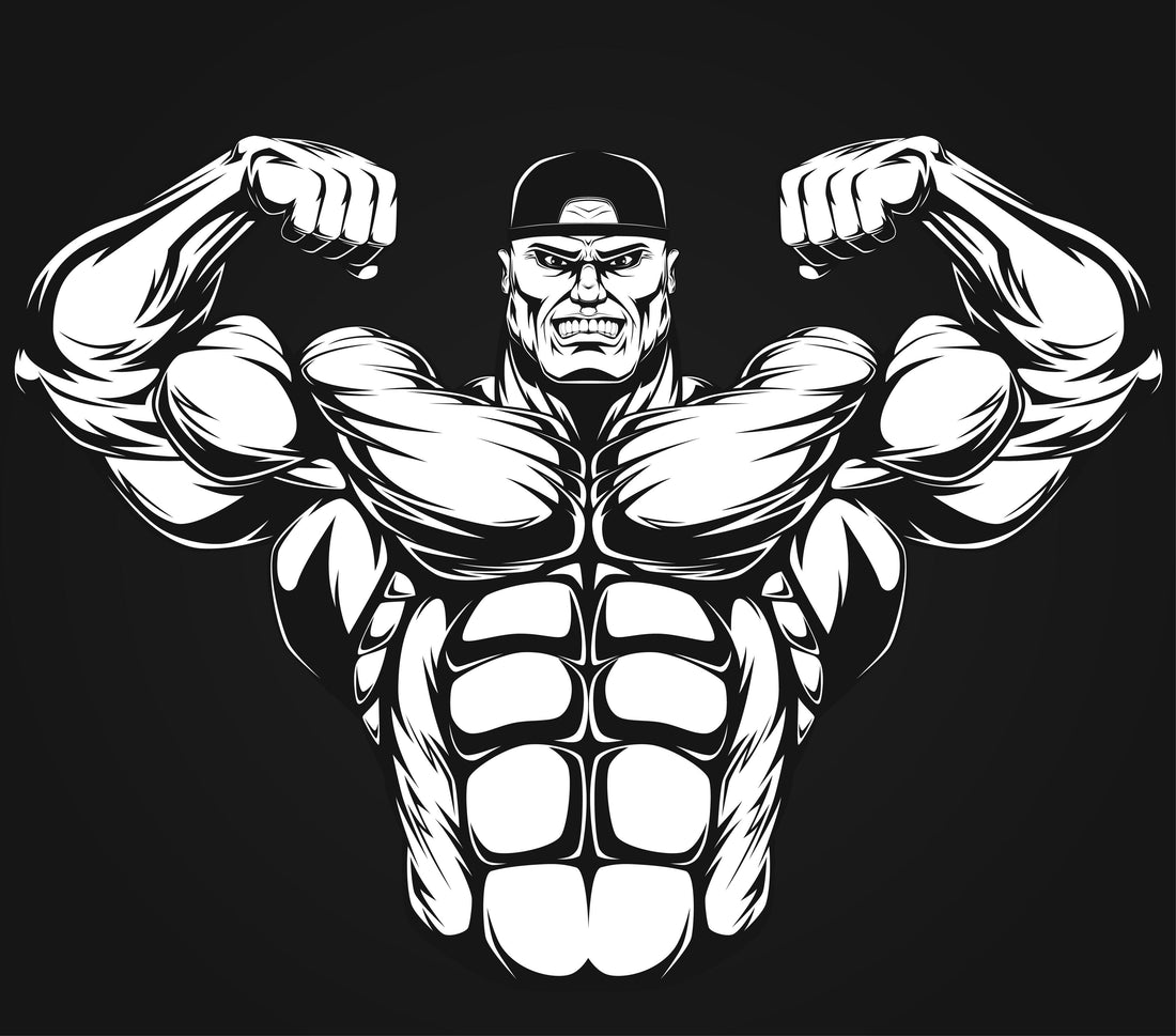 best proteins for bulking, infinite_labs