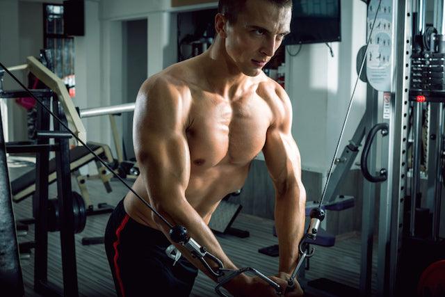 fenugreek, infinite_labs