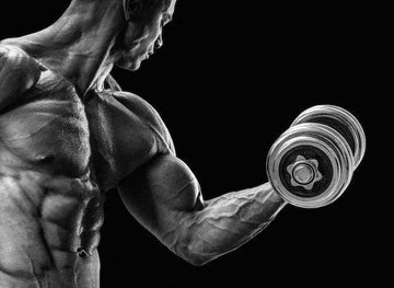 testosterone, fats, infinite_Labs