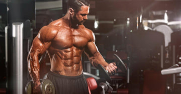 Ultimate “Six Pack” Abs Workout - Infinte Labs