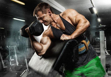 training frequency, infinite_labs