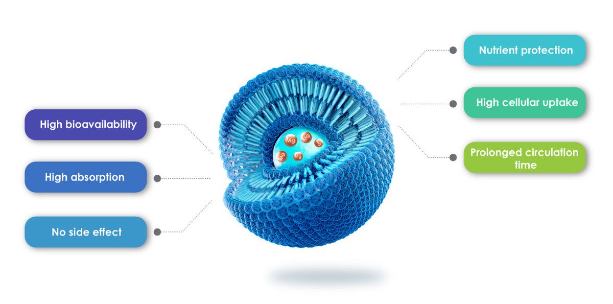 Liposomal Magnesium Glycinate