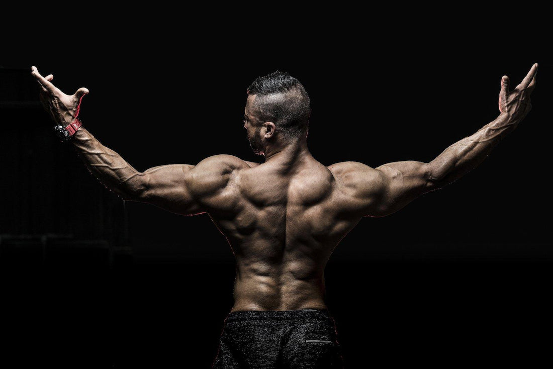 Body Mechanics - Infinte Labs