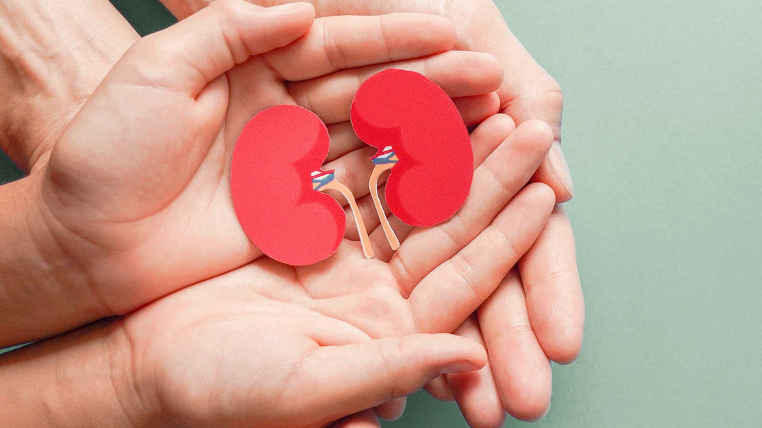 The best way to take L-citrulline for kidney health