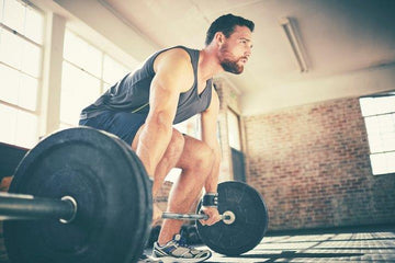 Full Body Workouts