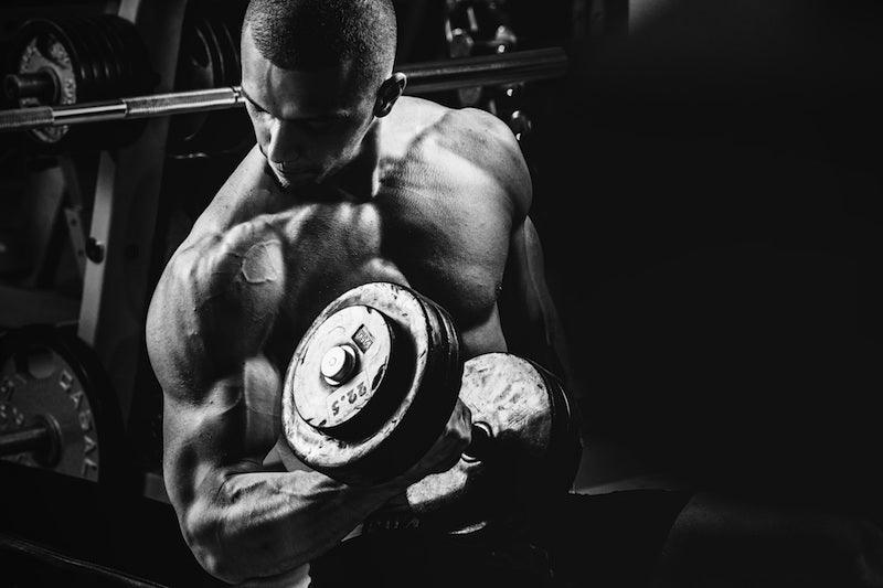 amino acids, infinite_labs, protein meal frequency