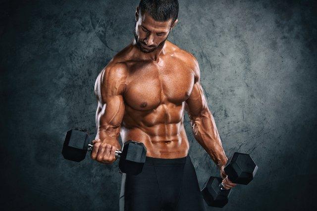 laws of muscle building, infinite_labs