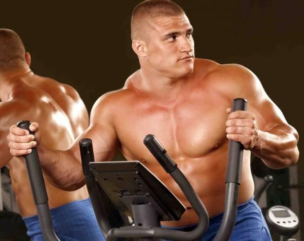 Do Elliptical Machines Accurately Estimate Calories Burned? - Infinte Labs
