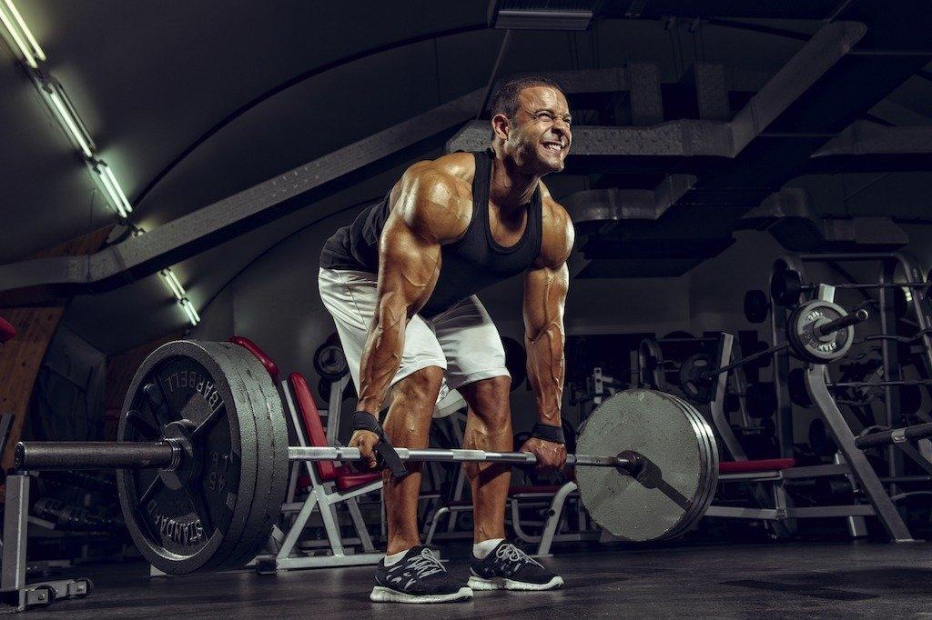 Las 9 Reglas Basicas Para construir Grandes Piernas Y Bien Fuertes - Infinte Labs