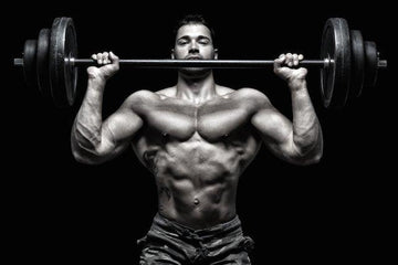 Standing vs Seated Military Press: Which Is a Better Shoulder Exercise. - Infinte Labs