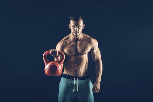Top 10 Bodybuilding Products for 2016 to Gain Muscle and Lose Bodyfat.