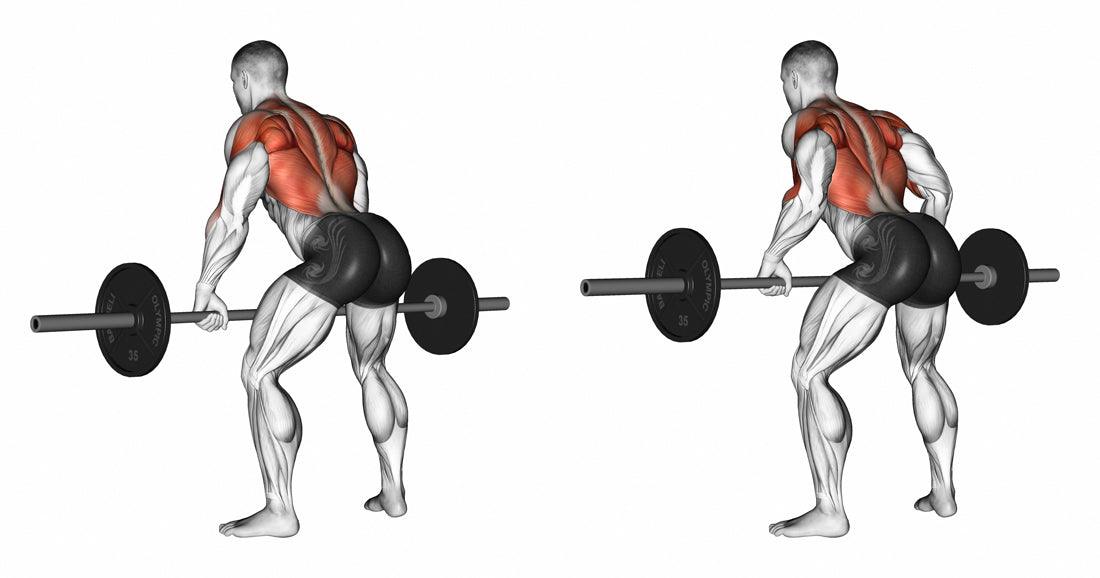 Best Back Exercise