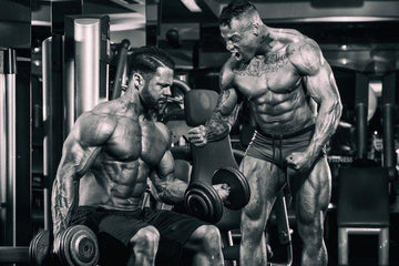 rest periods, protein synthesis, infinite_labs