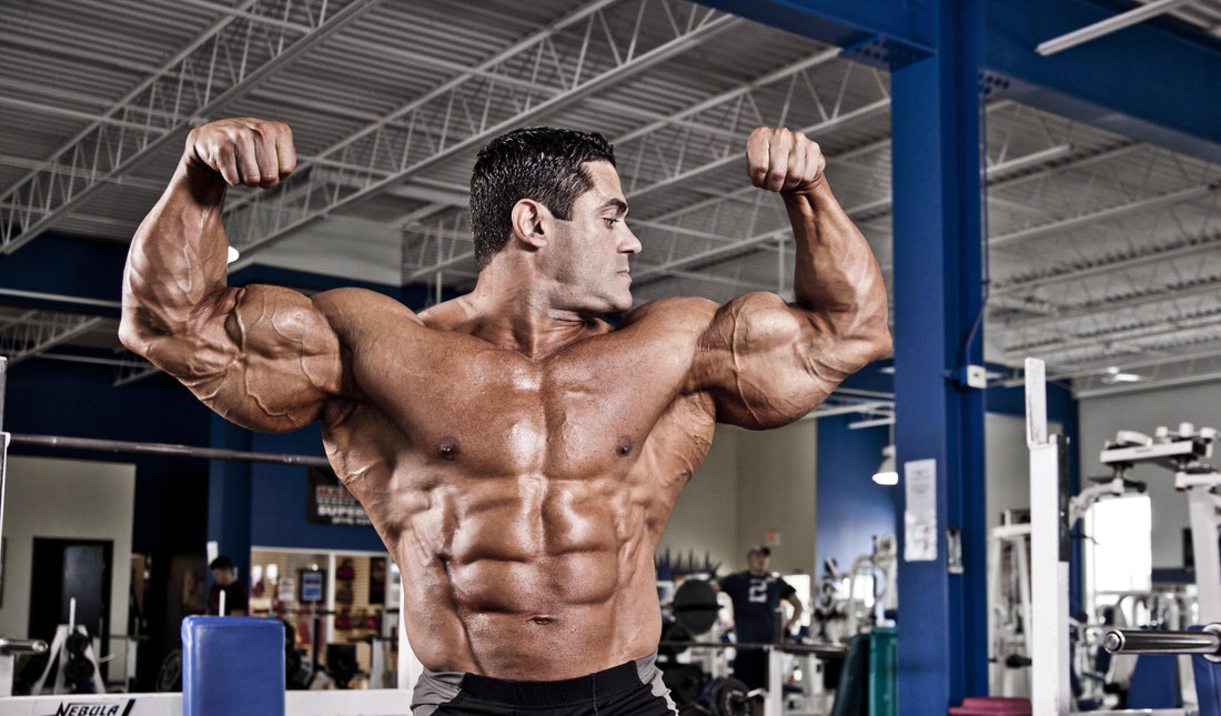 Real Deal on Vitamin D for Building Muscle - Infinte Labs