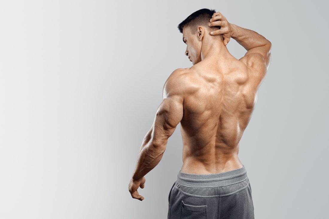 Back workout