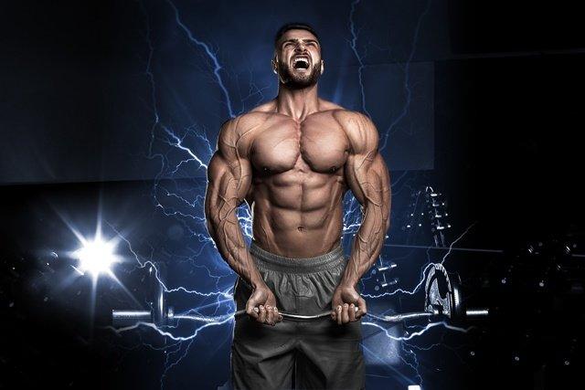 Add Glutamine