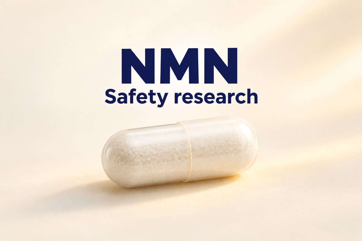 Plain supplement capsule beneath the labels NMN and Safety research on a cream background.