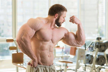 Armageddon, Big Arms, Infinite_Labs