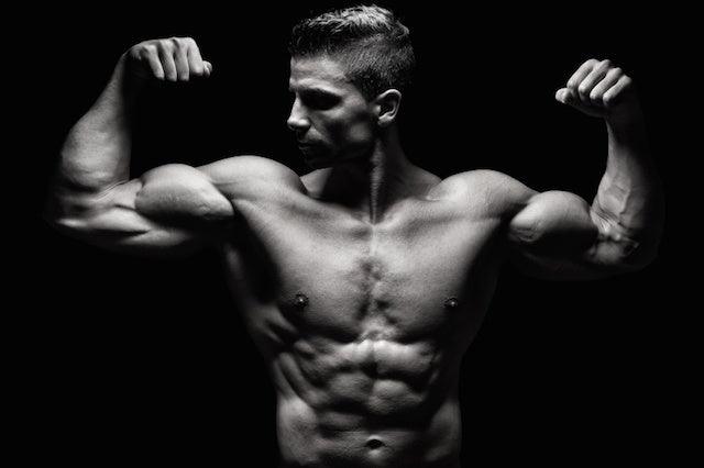 muscle growth, infinite_labs