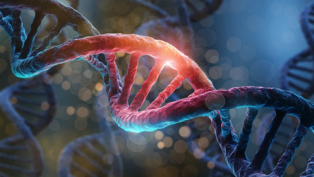 The Science Behind Liposomal Supplements: Unraveling Their Mechanisms