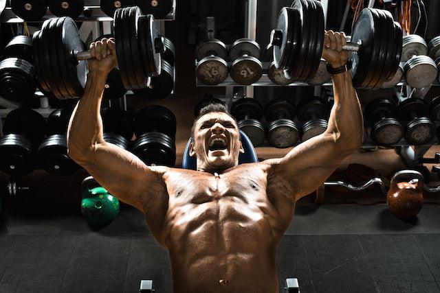 Low Carbs and Muscle Growth - Infinte Labs