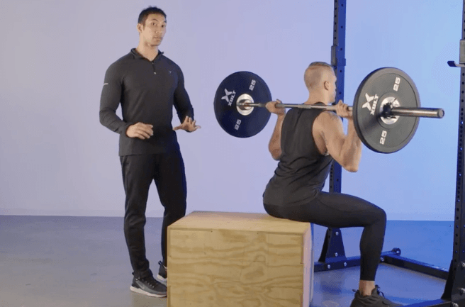 infinite_labs, squats