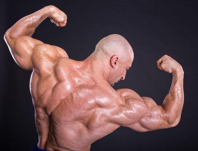 espalda_grande, infinite_labs