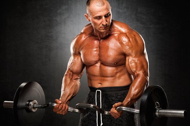 carbohydrates protein synthesis, infinite_labs