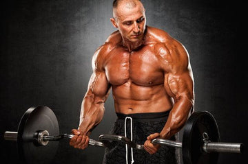 carbohydrates protein synthesis, infinite_labs