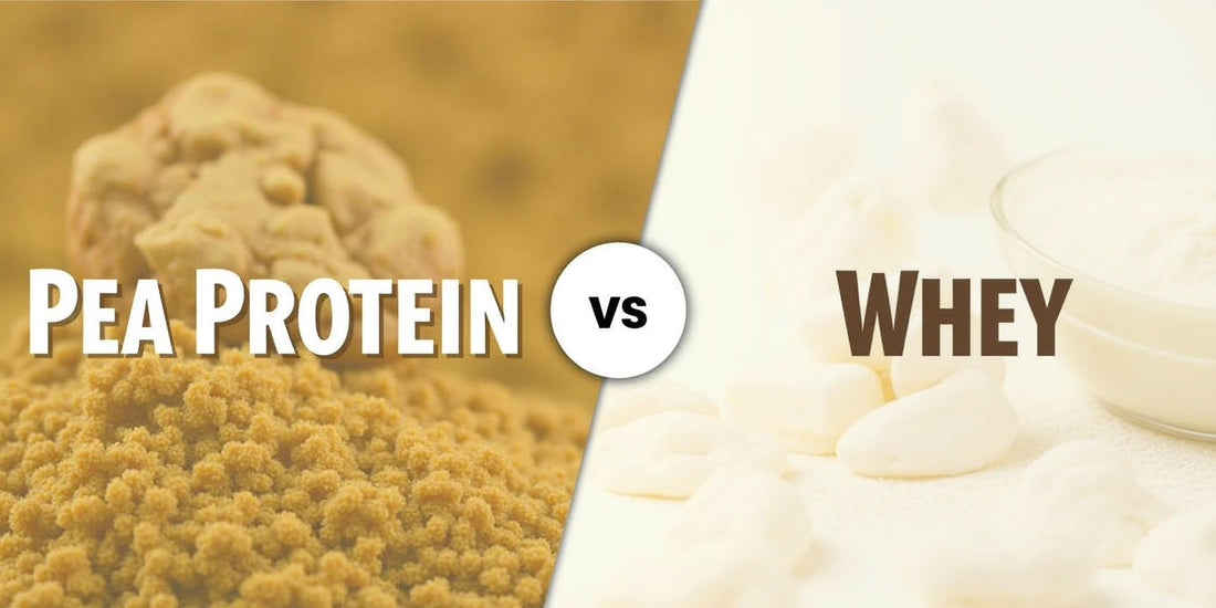 pea protein vs whey