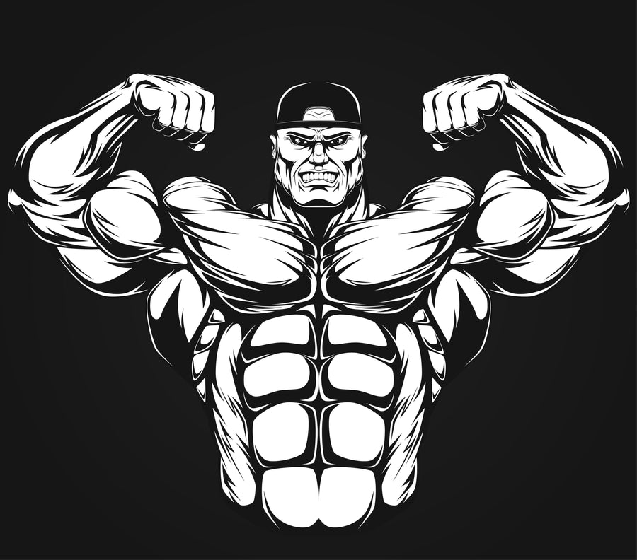 best proteins for bulking, infinite_labs
