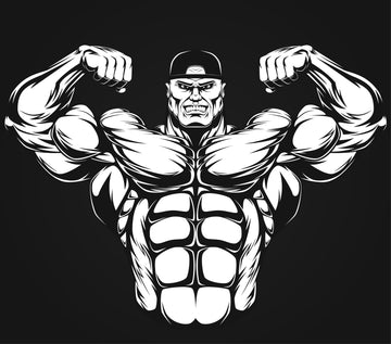 best proteins for bulking, infinite_labs