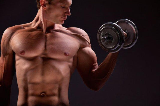 Do Bodybuilders Need More Protein Per Sitting or Protein More Often?