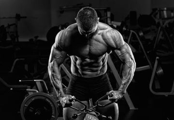 Citrulline: Better Muscle Pumps and Improved Protein Synthesis, Infinite_labs