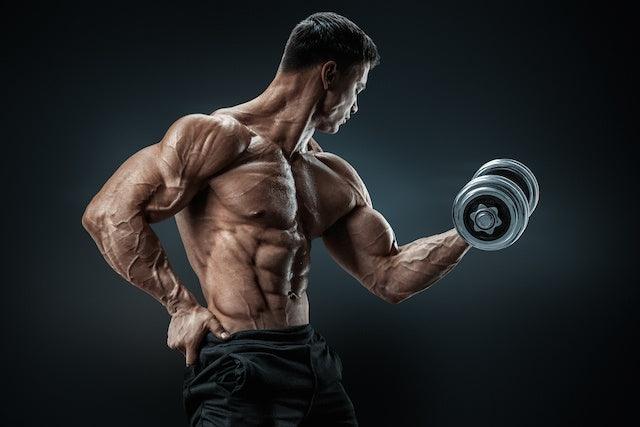 whey protein, infinite_labs