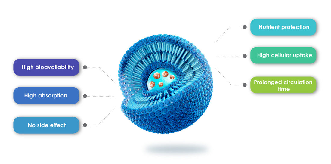 Liposomal Magnesium Glycinate