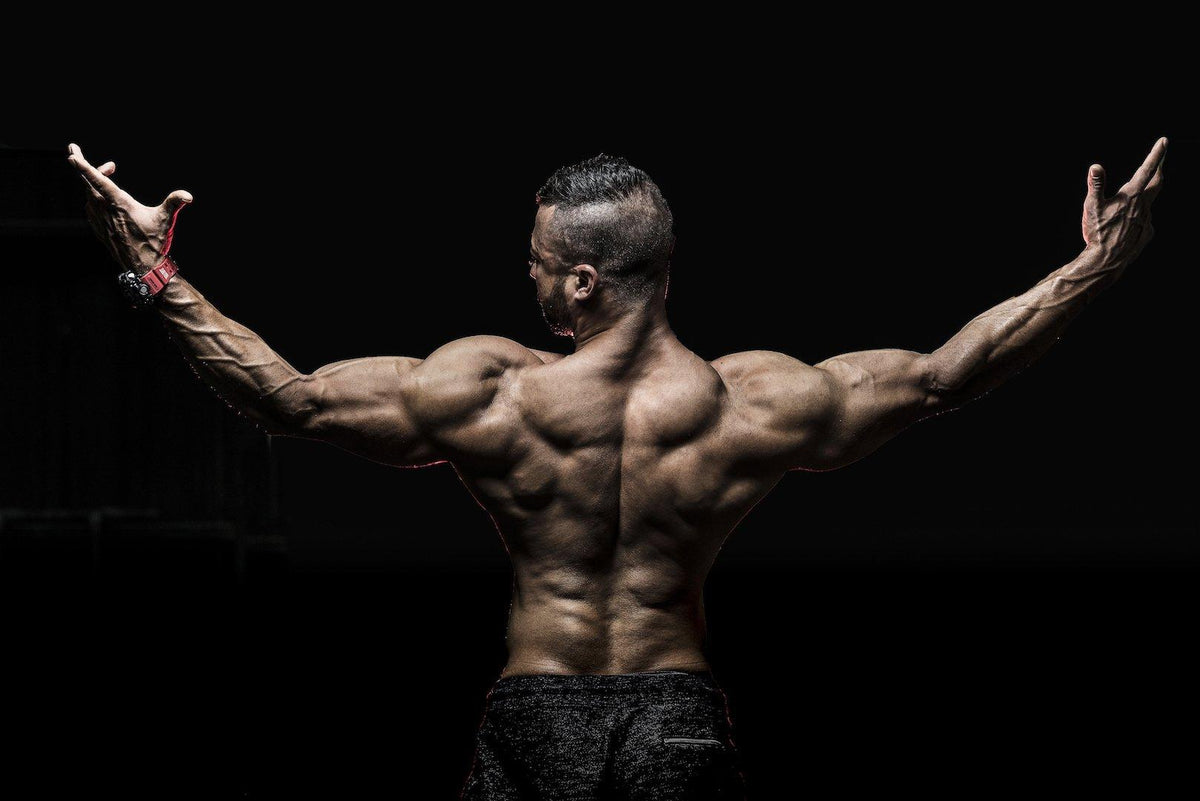 Body Mechanics - Infinte Labs