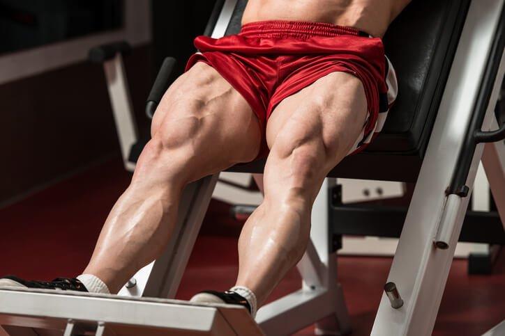 leg press