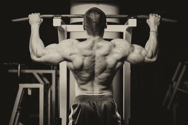 infinite_labs,best way to build muscle