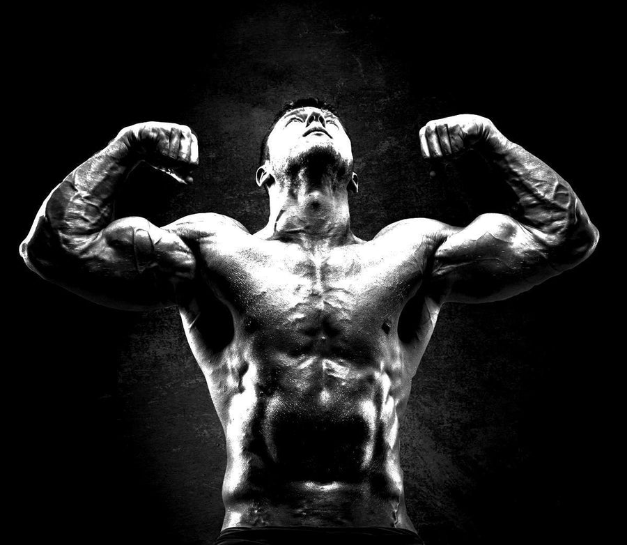 Eat to Recover: Carb Science for Muscle Recuperation - Infinte Labs
