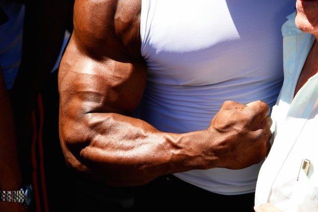 forearms, infinite_labs