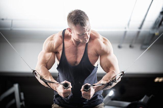 gain muscle, lose bodyfat, Infinite_labs