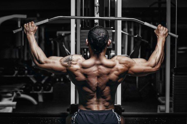 beta alanine, muscle mass, infinite_labs