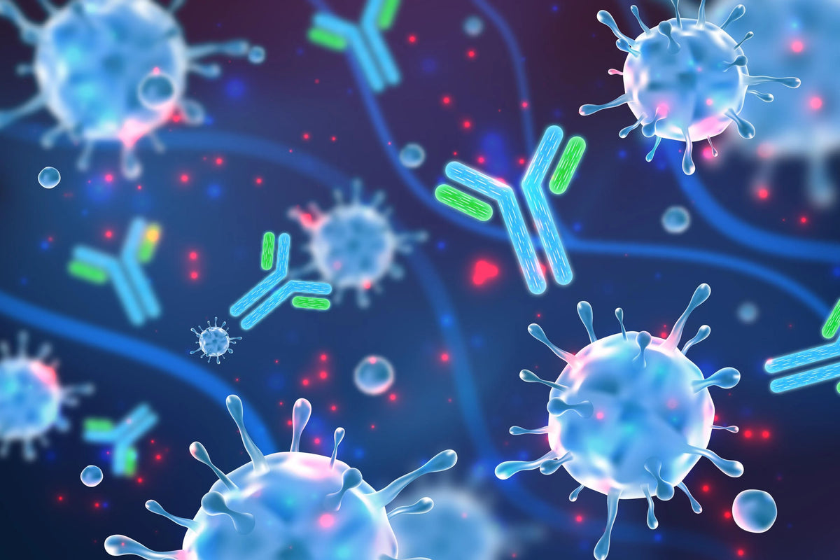 What Causes Citrulline Antibody?