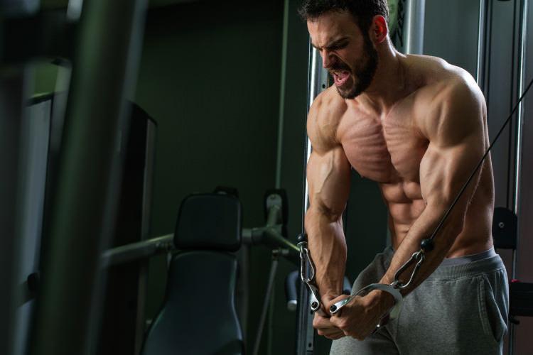 Rest-Pause Training for New Mass - Infinte Labs