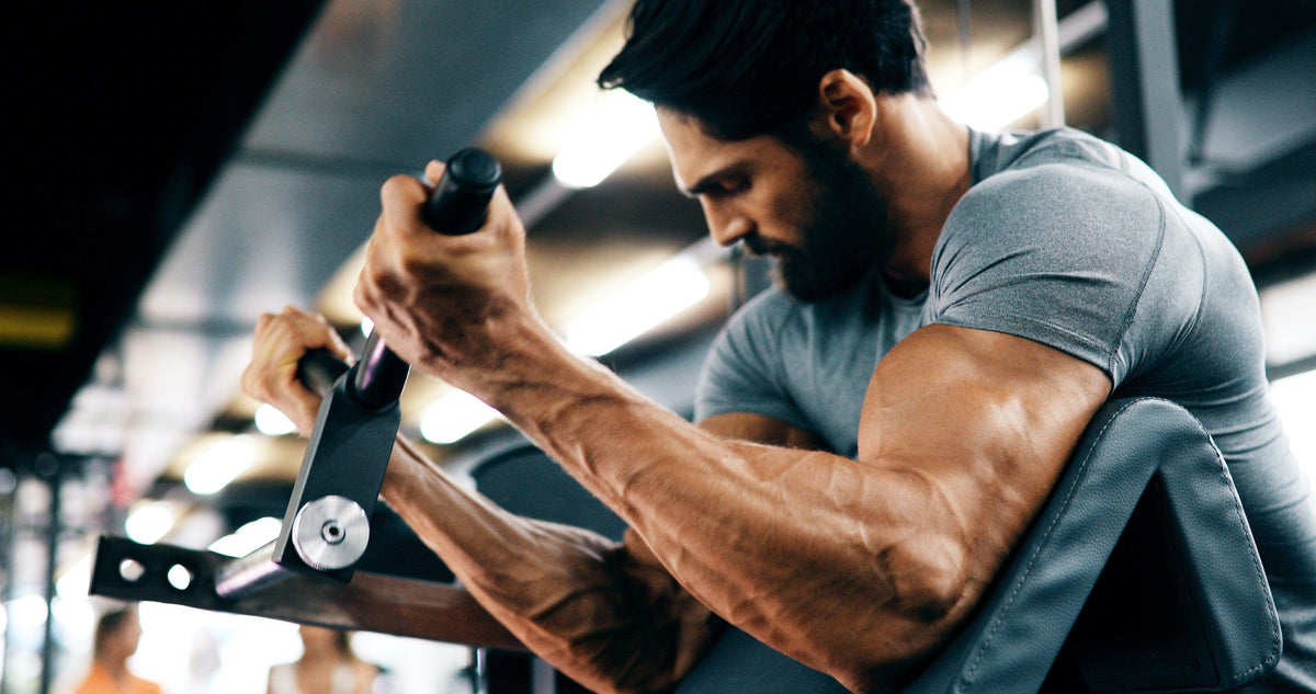 biceps growth