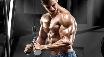 Top Next Level Best Triceps Workout to Build Muscle Mass and Bigger Arms - Infinte Labs