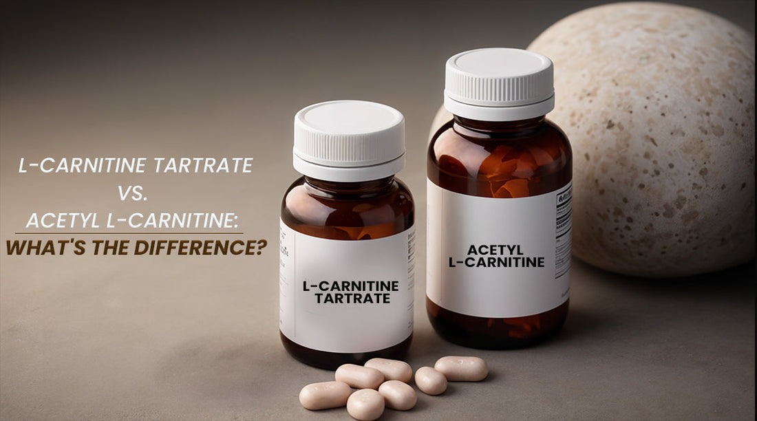 Comparing L-Carnitine Tartrate vs. Acetyl L-Carnitine: Which is Right for You?
