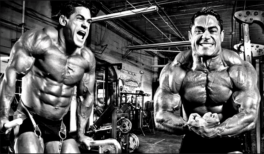 The 4 Best Tricep Exercises for Mass - Infinte Labs