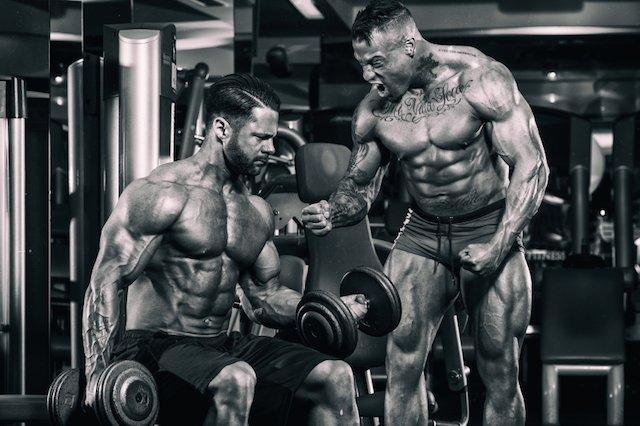 rest periods, protein synthesis, infinite_labs